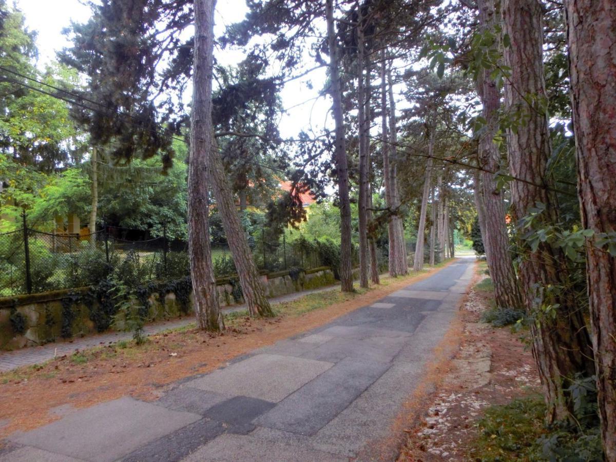 Pilis Apartman Piliscsaba エクステリア 写真